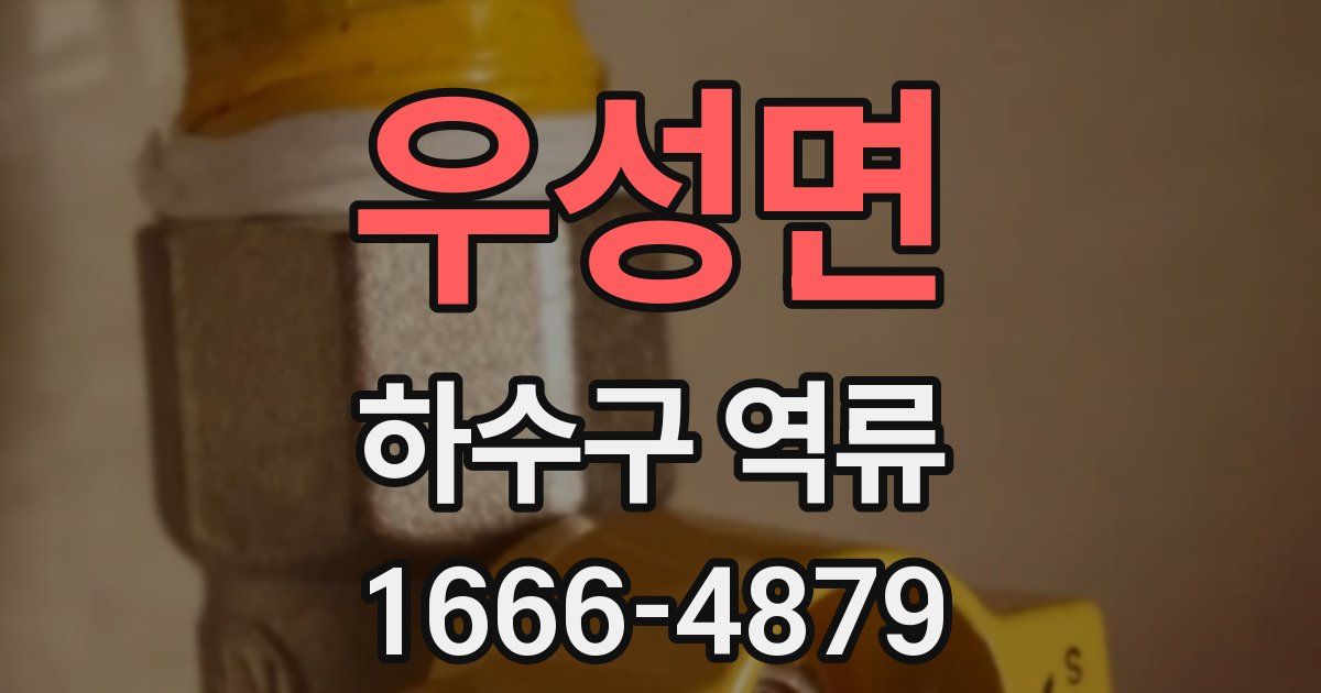 우성면 하수구 역류