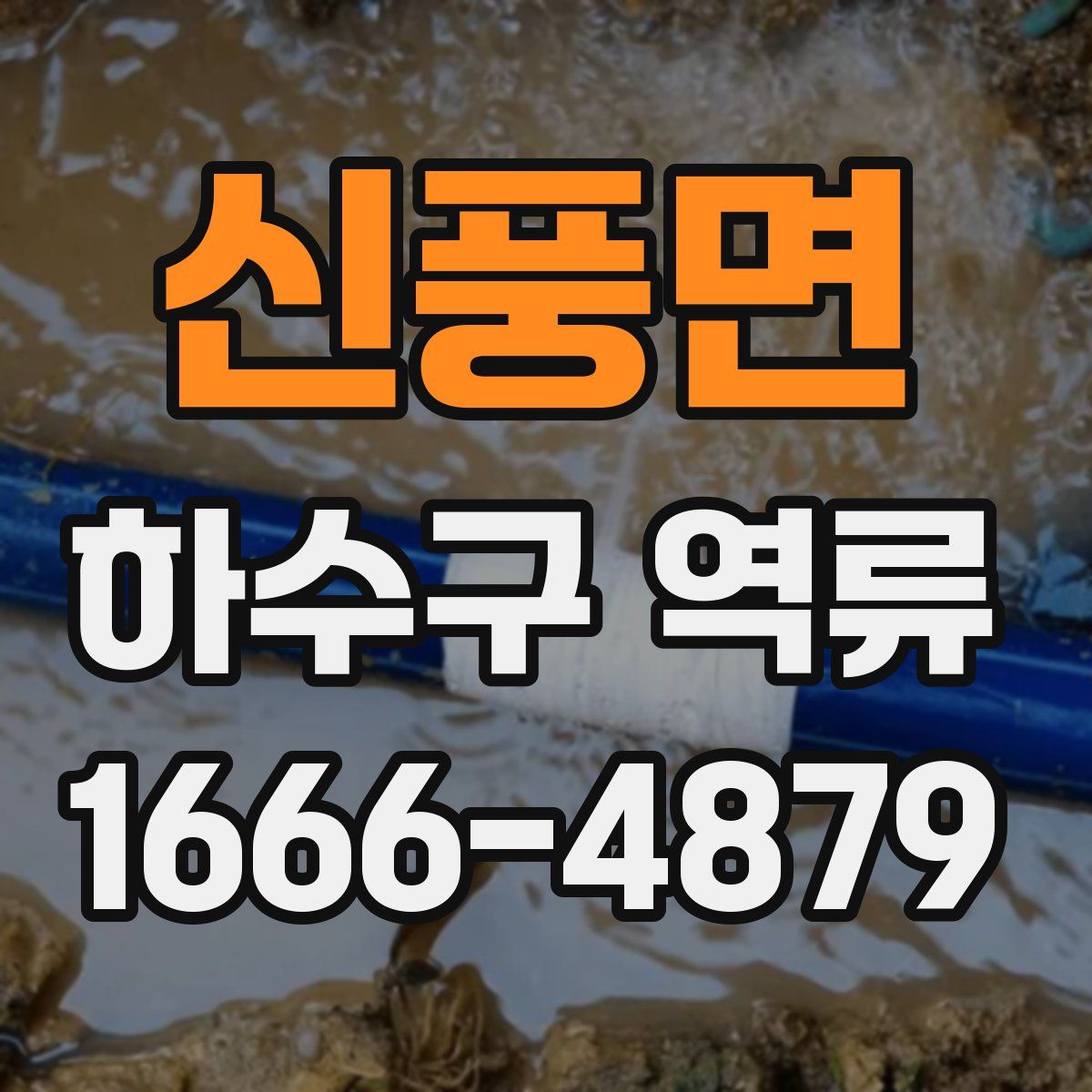 신풍면 하수구 역류