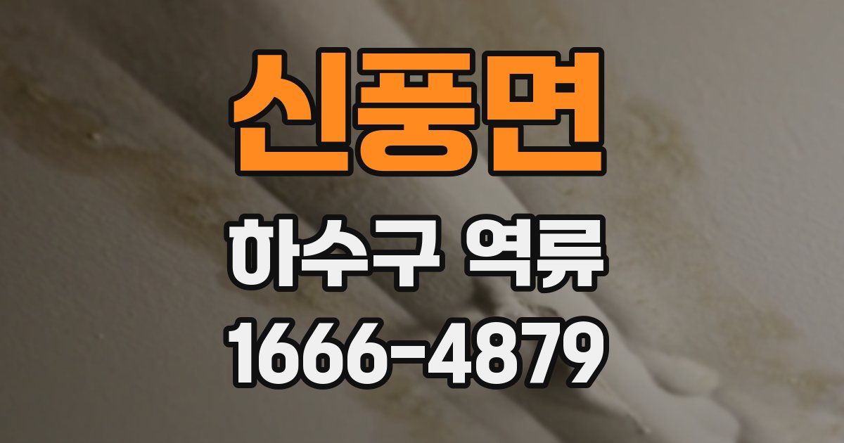 신풍면 하수구 역류