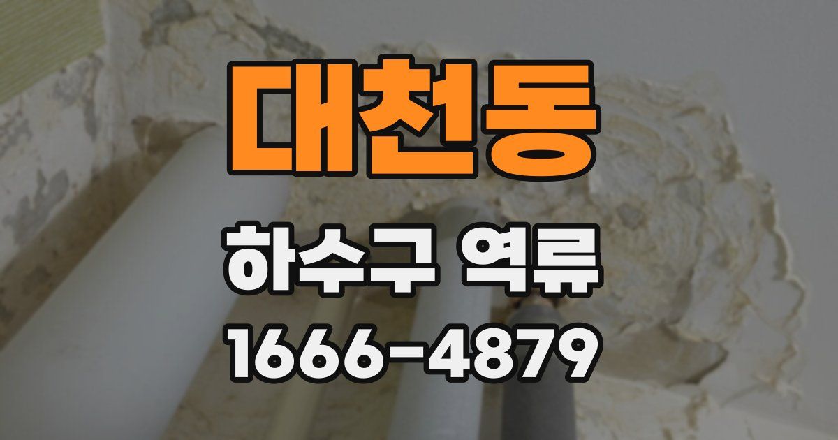 대천동 하수구 역류