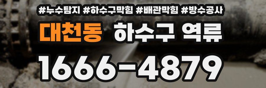 대천동 하수구 역류