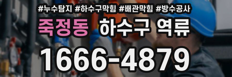 죽정동 하수구 역류