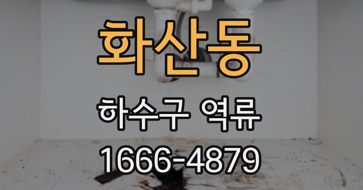 화산동 하수구 역류