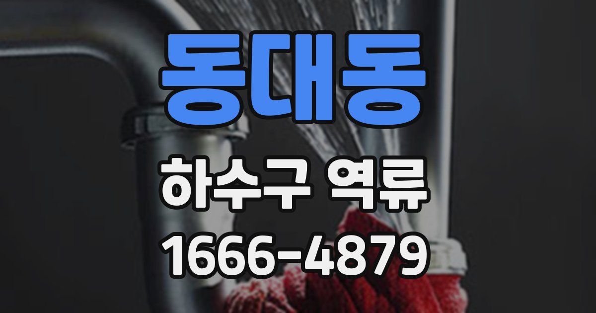 동대동 하수구 역류