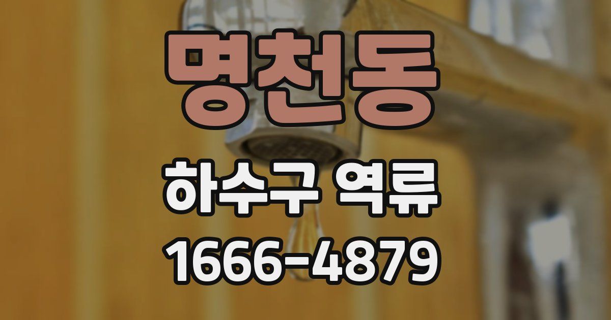 명천동 하수구 역류