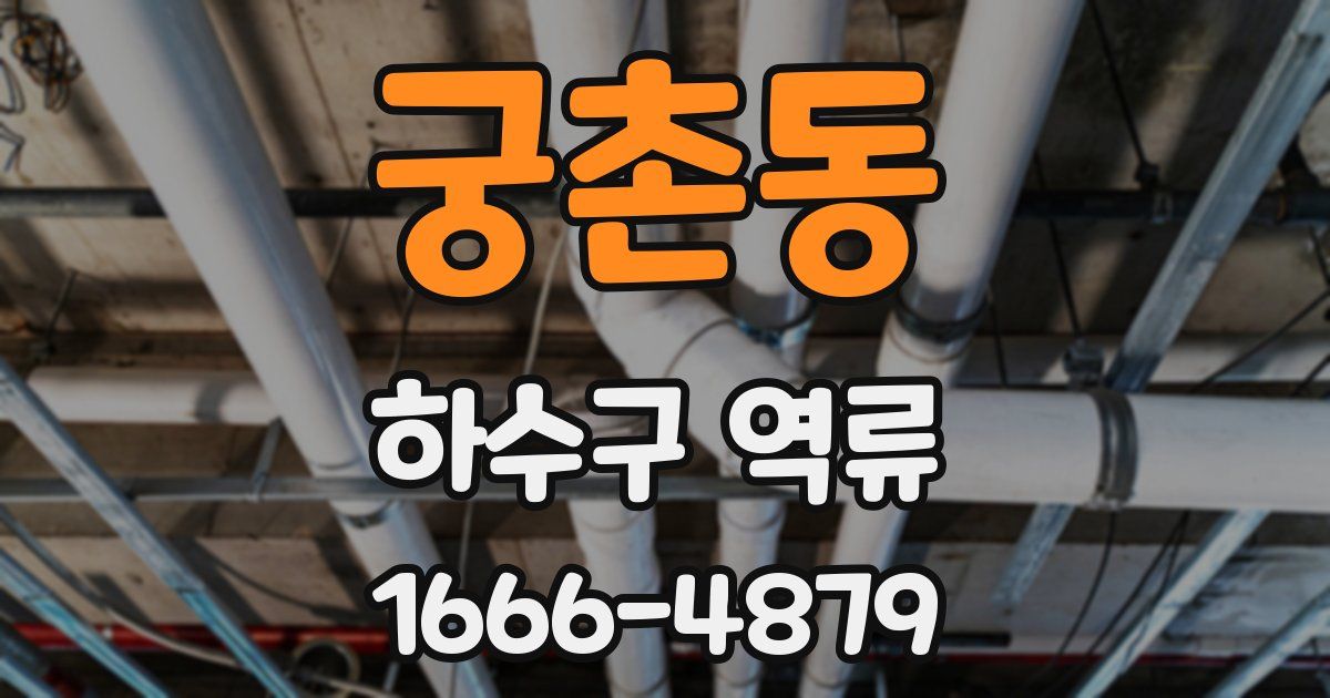 궁촌동 하수구 역류