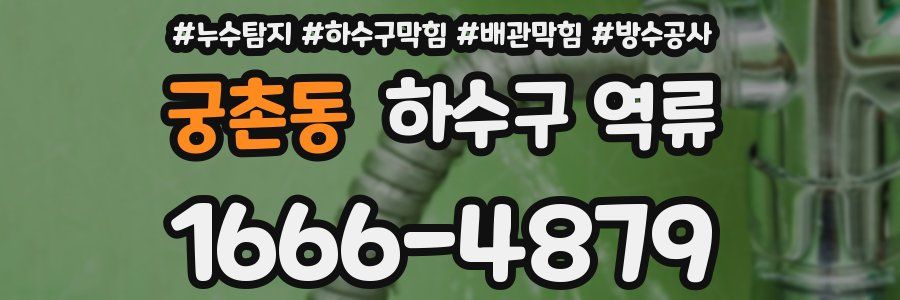 궁촌동 하수구 역류