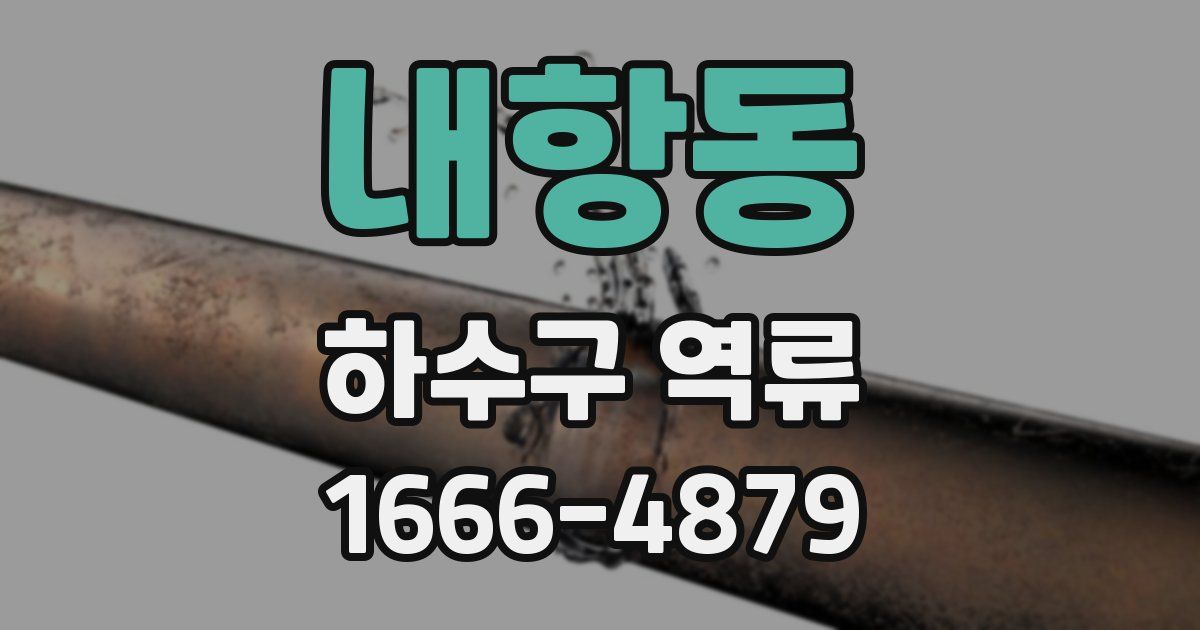 내항동 하수구 역류