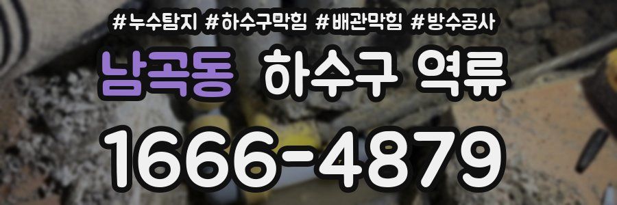 남곡동 하수구 역류