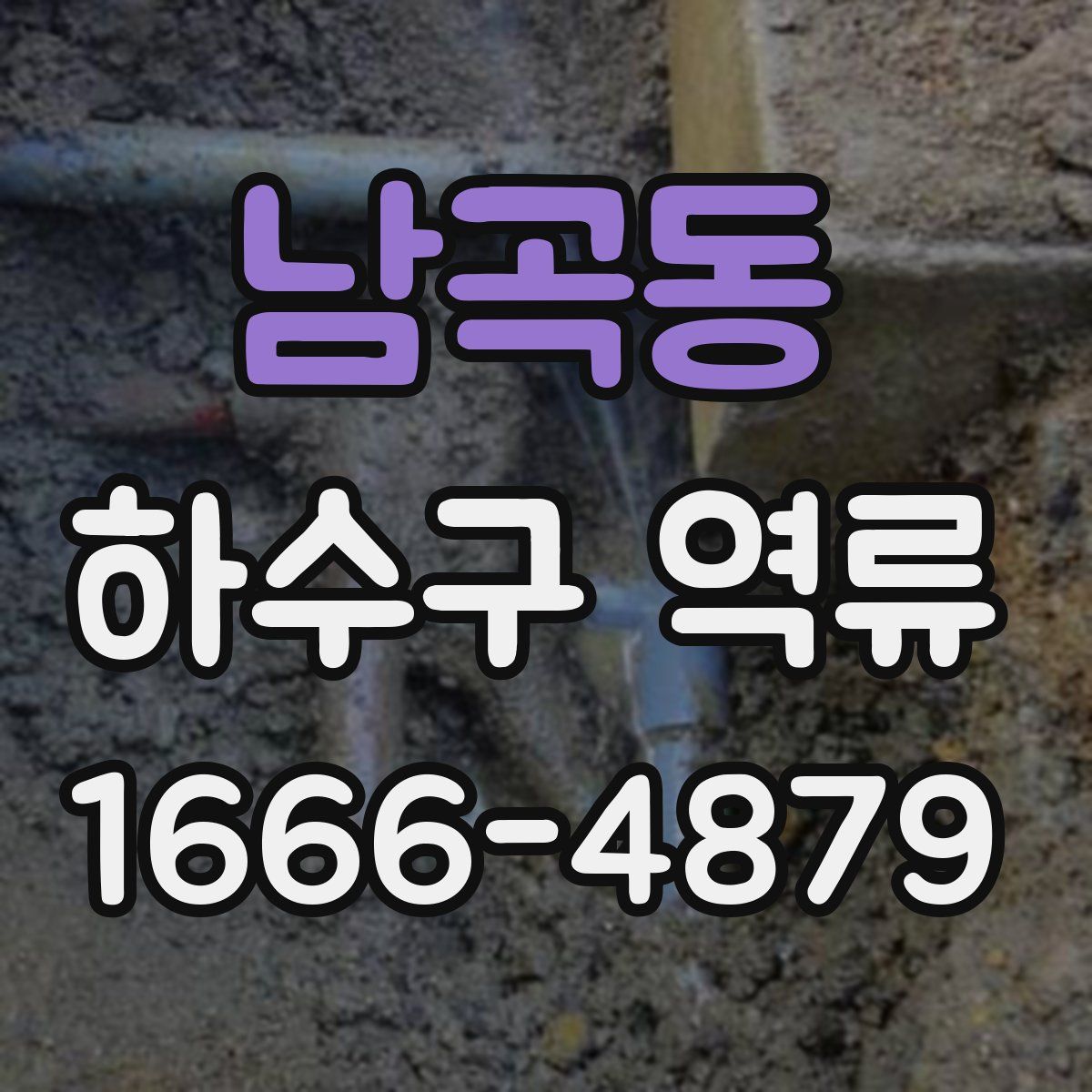 남곡동 하수구 역류