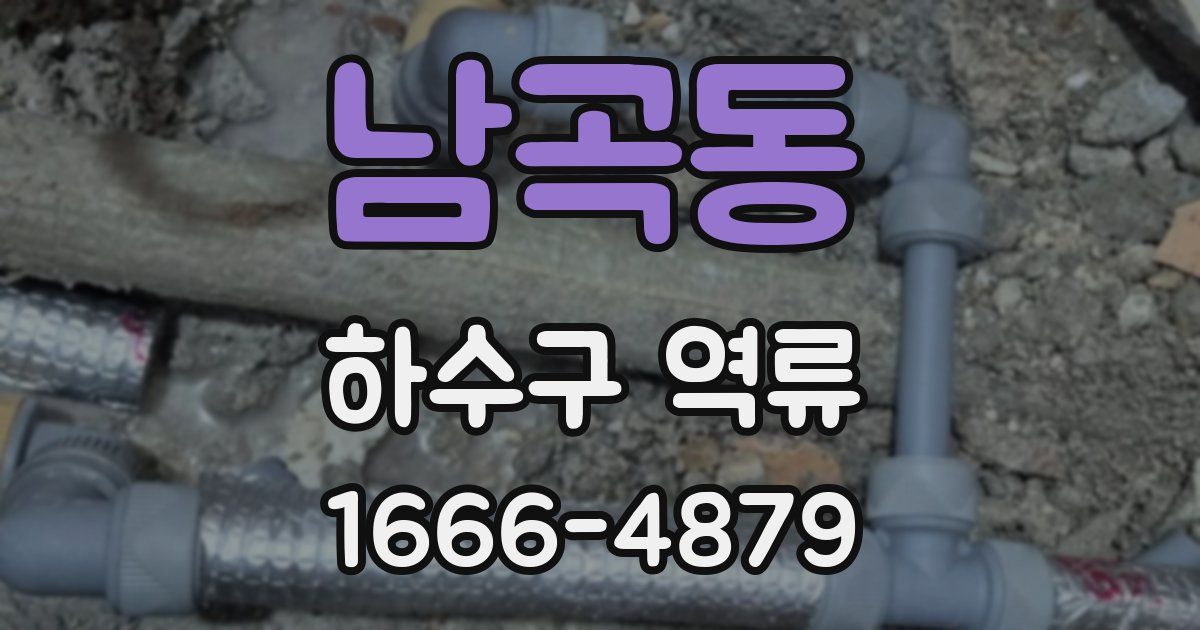 남곡동 하수구 역류