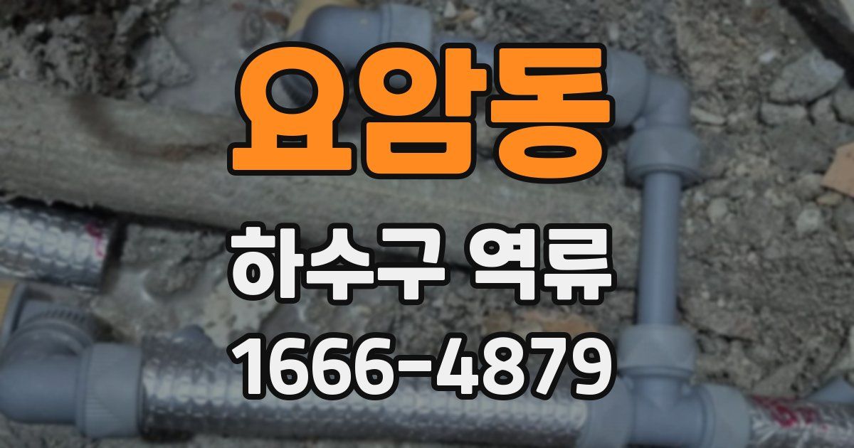 요암동 하수구 역류