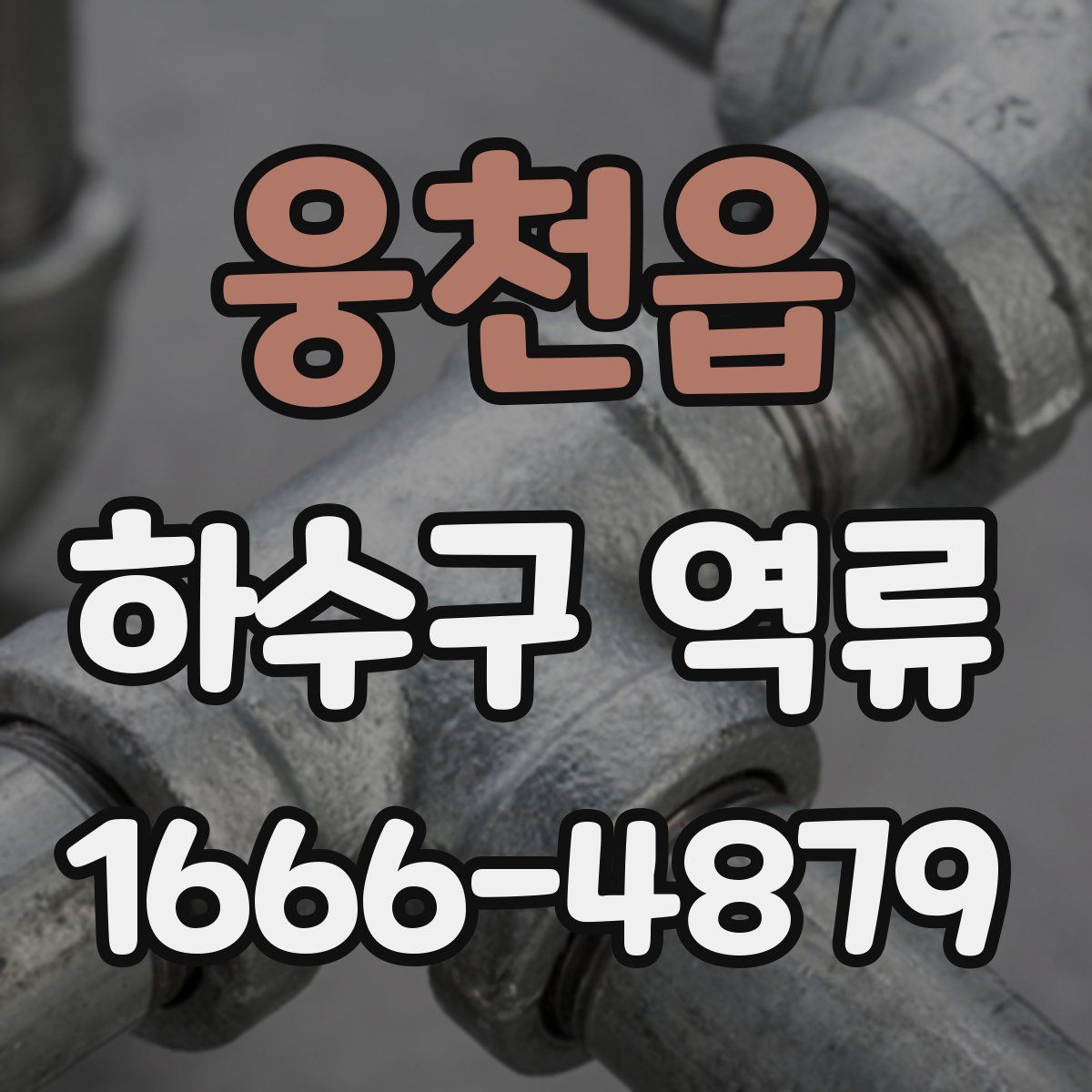 웅천읍 하수구 역류