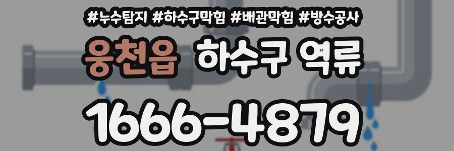 웅천읍 하수구 역류
