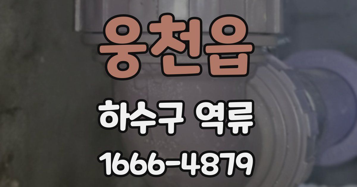 웅천읍 하수구 역류