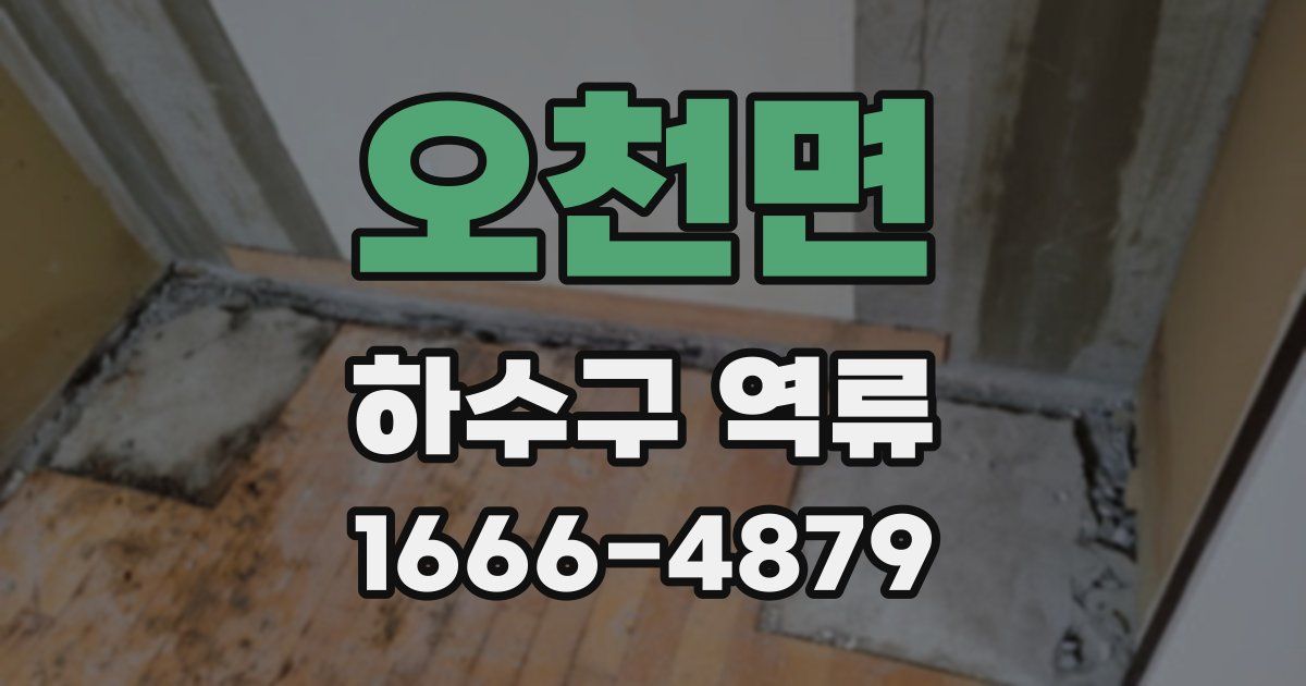 오천면 하수구 역류