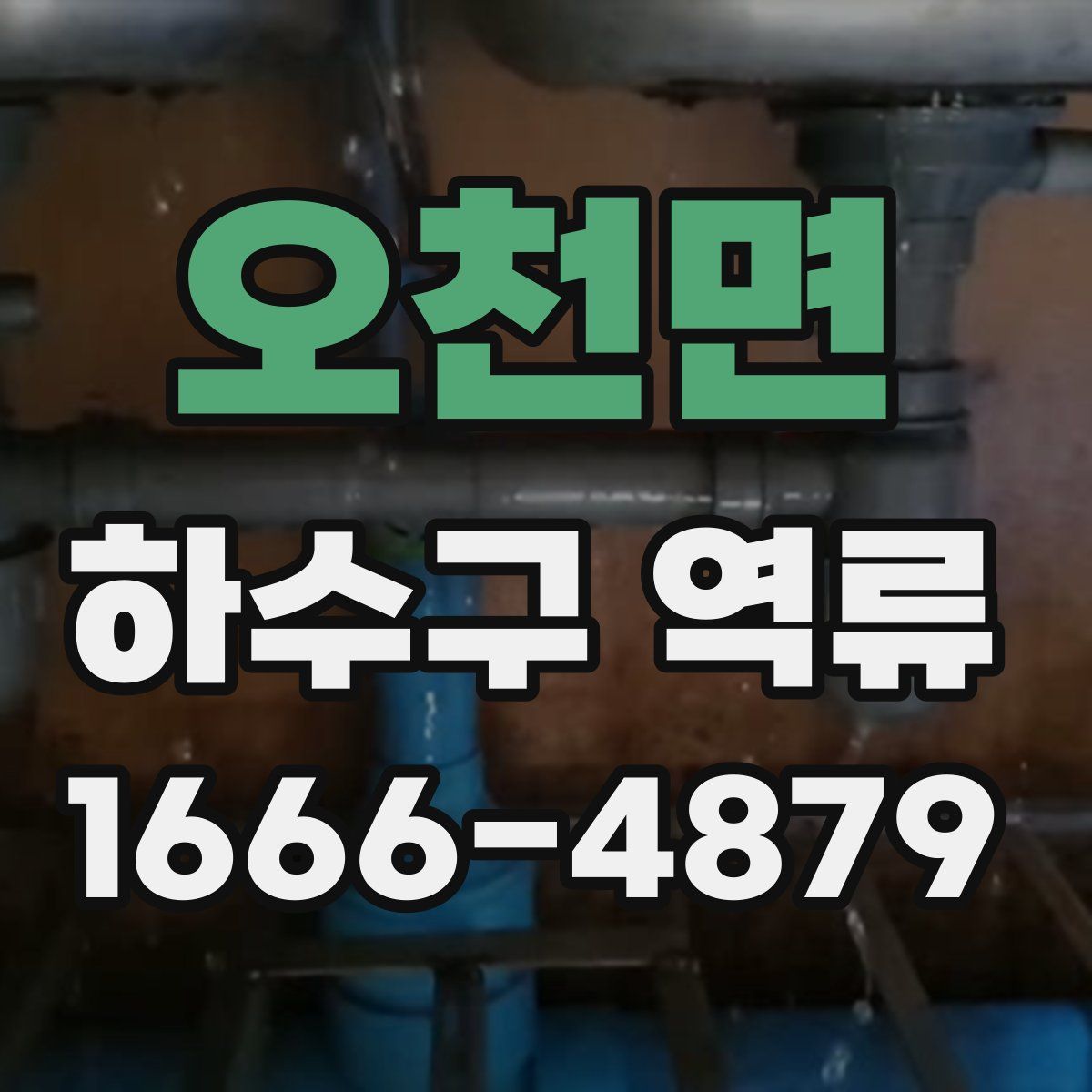 오천면 하수구 역류