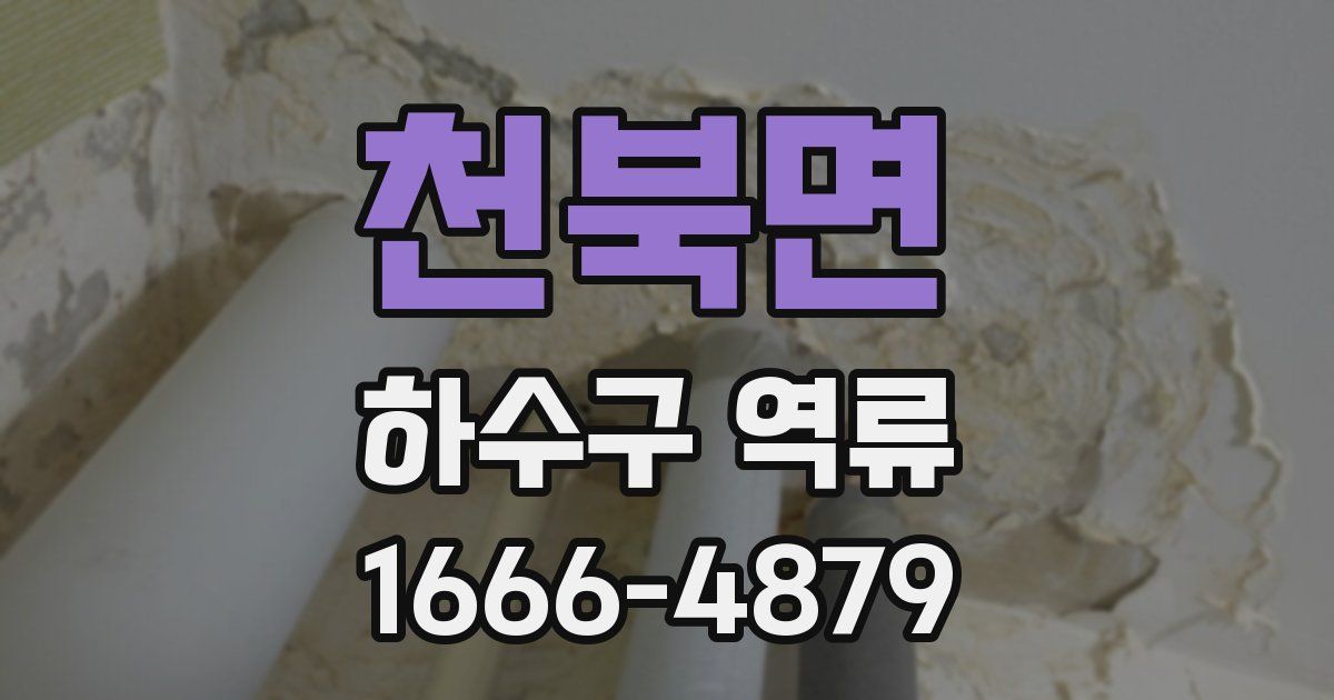 천북면 하수구 역류
