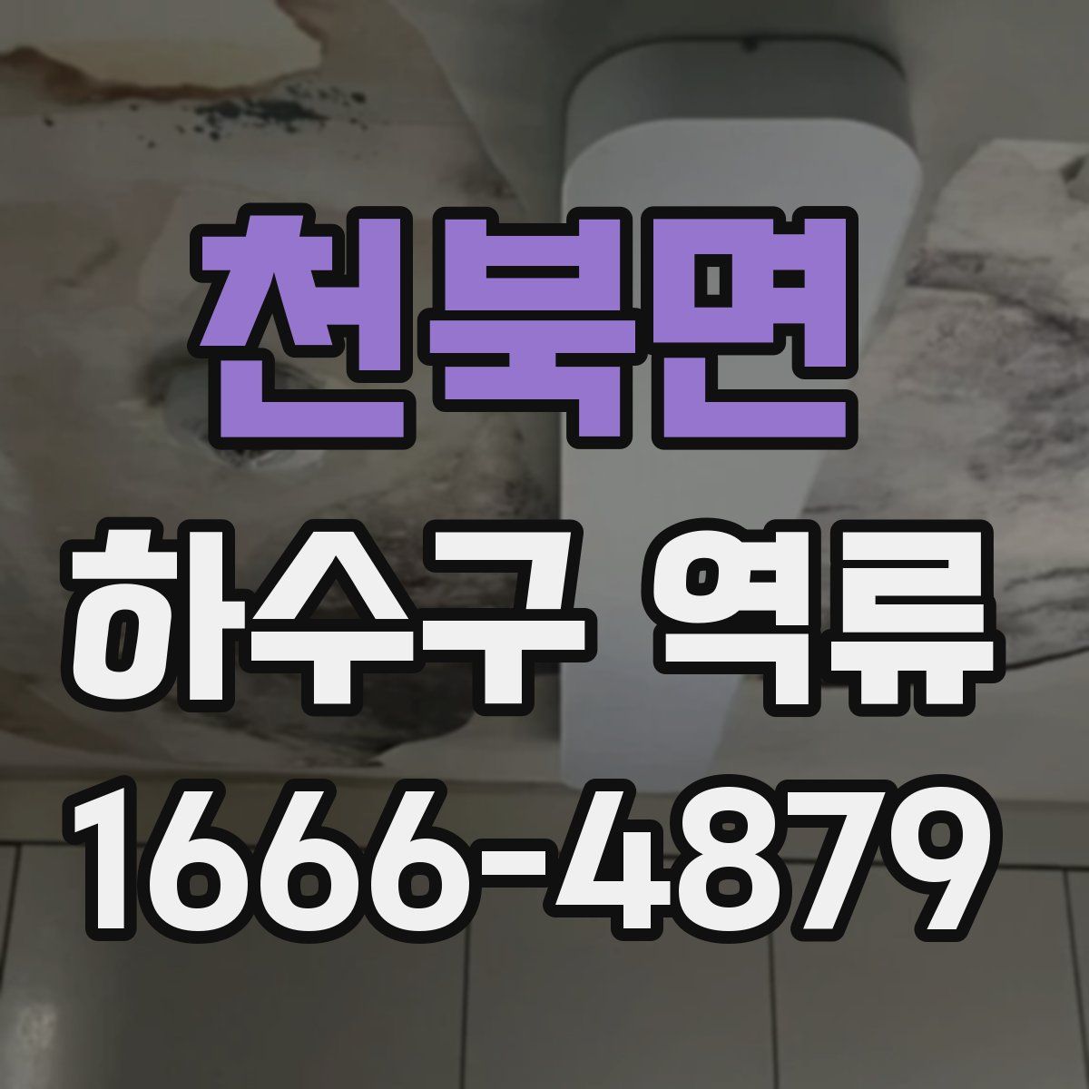 천북면 하수구 역류