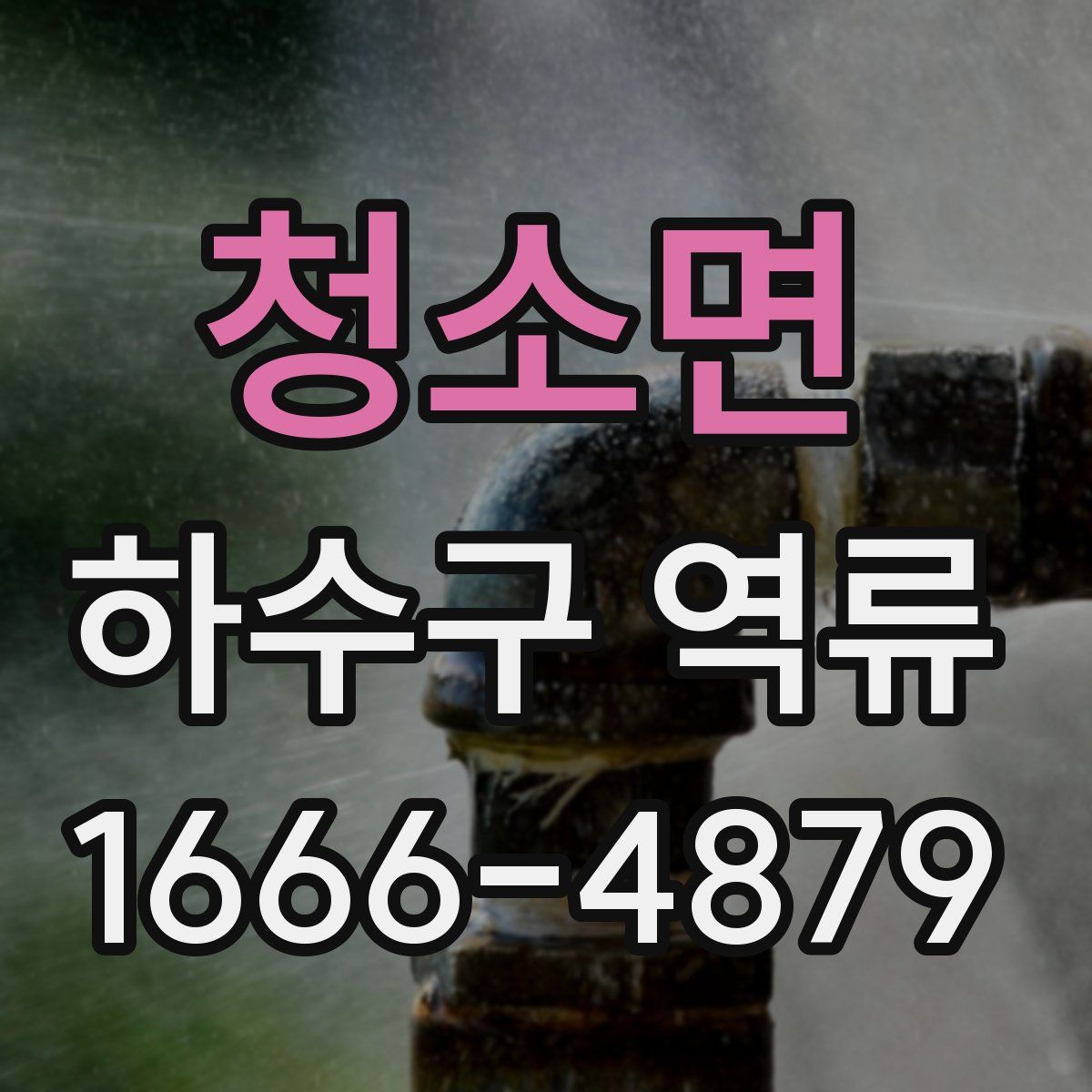 청소면 하수구 역류