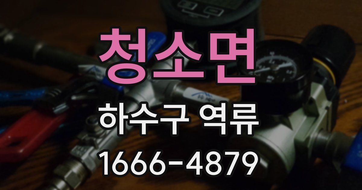 청소면 하수구 역류