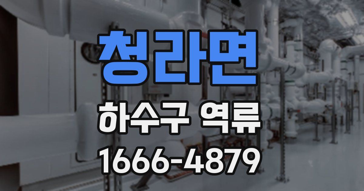청라면 하수구 역류