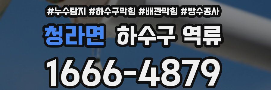 청라면 하수구 역류