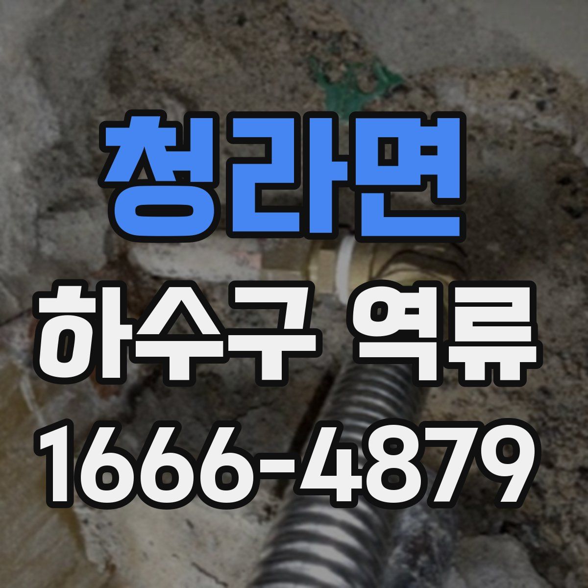 청라면 하수구 역류