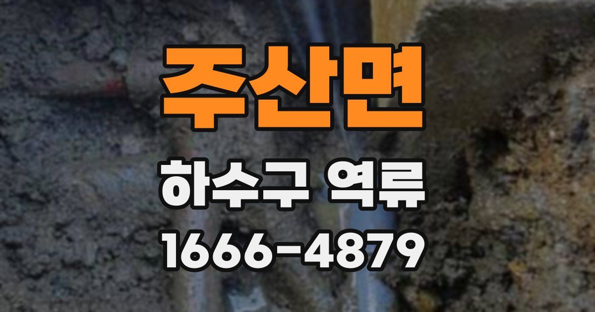주산면 하수구 역류