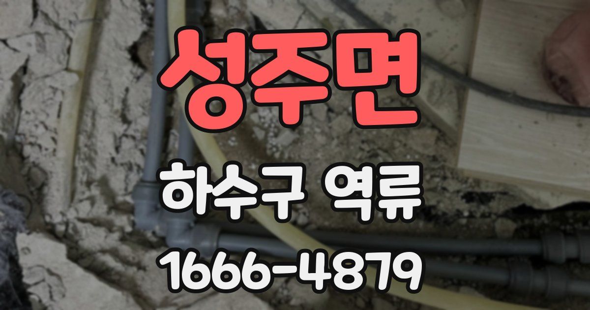 성주면 하수구 역류