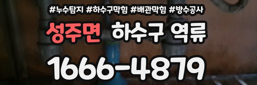 성주면 하수구 역류