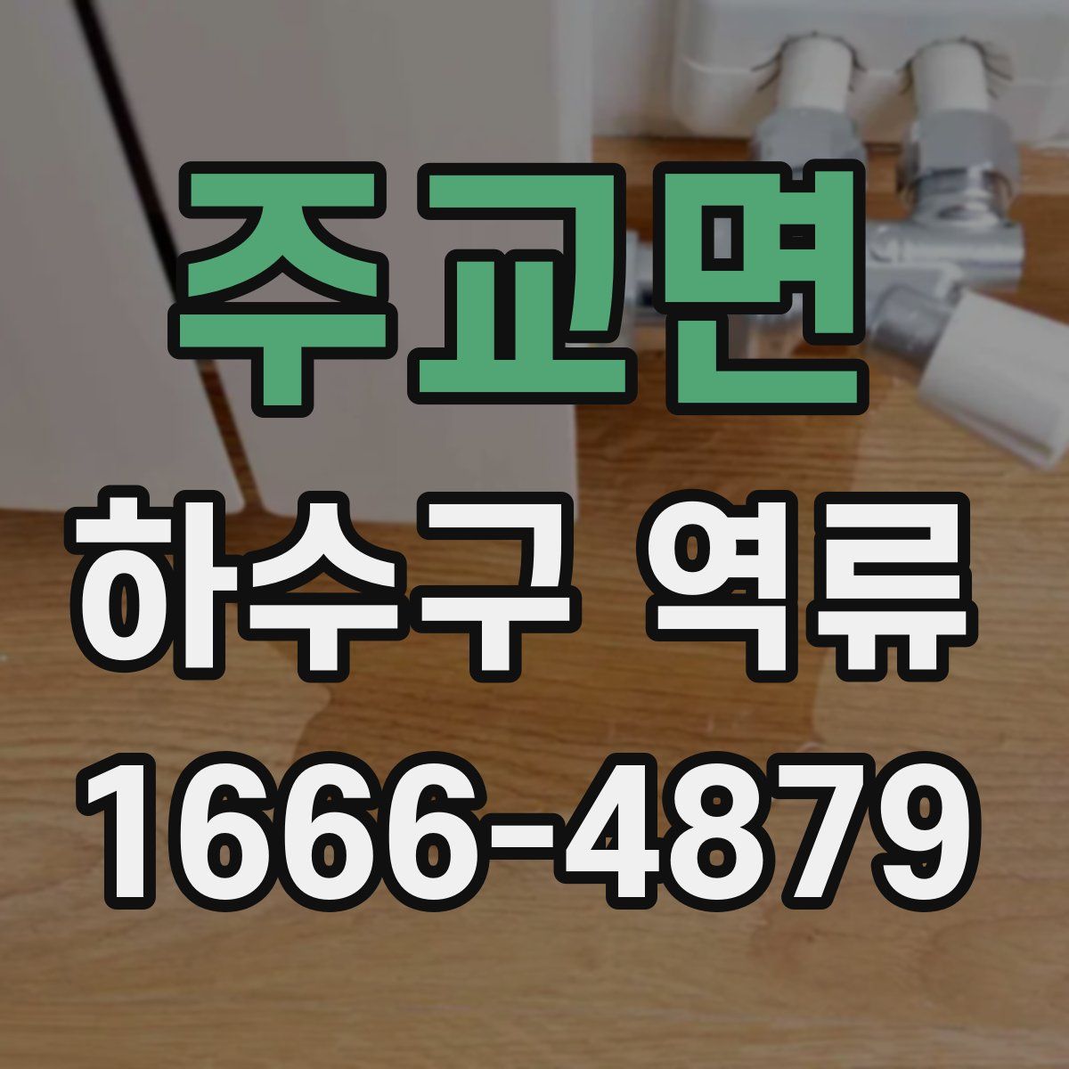 주교면 하수구 역류