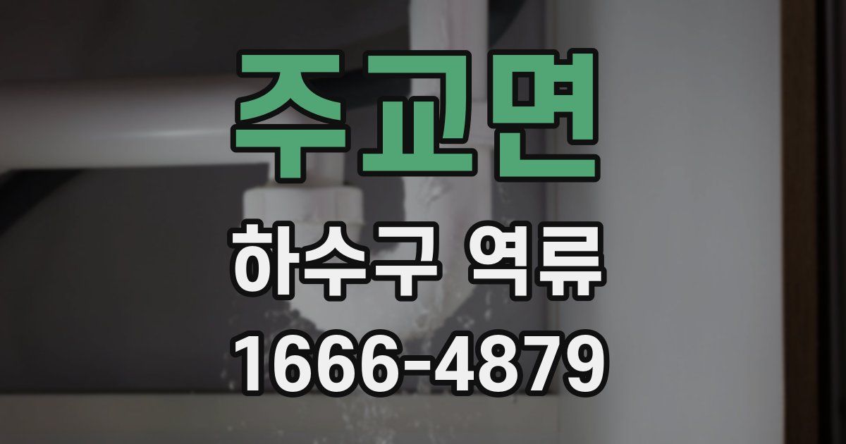 주교면 하수구 역류