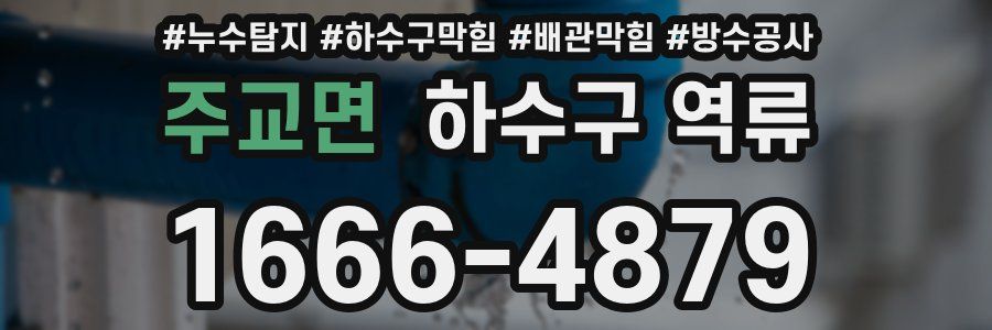 주교면 하수구 역류