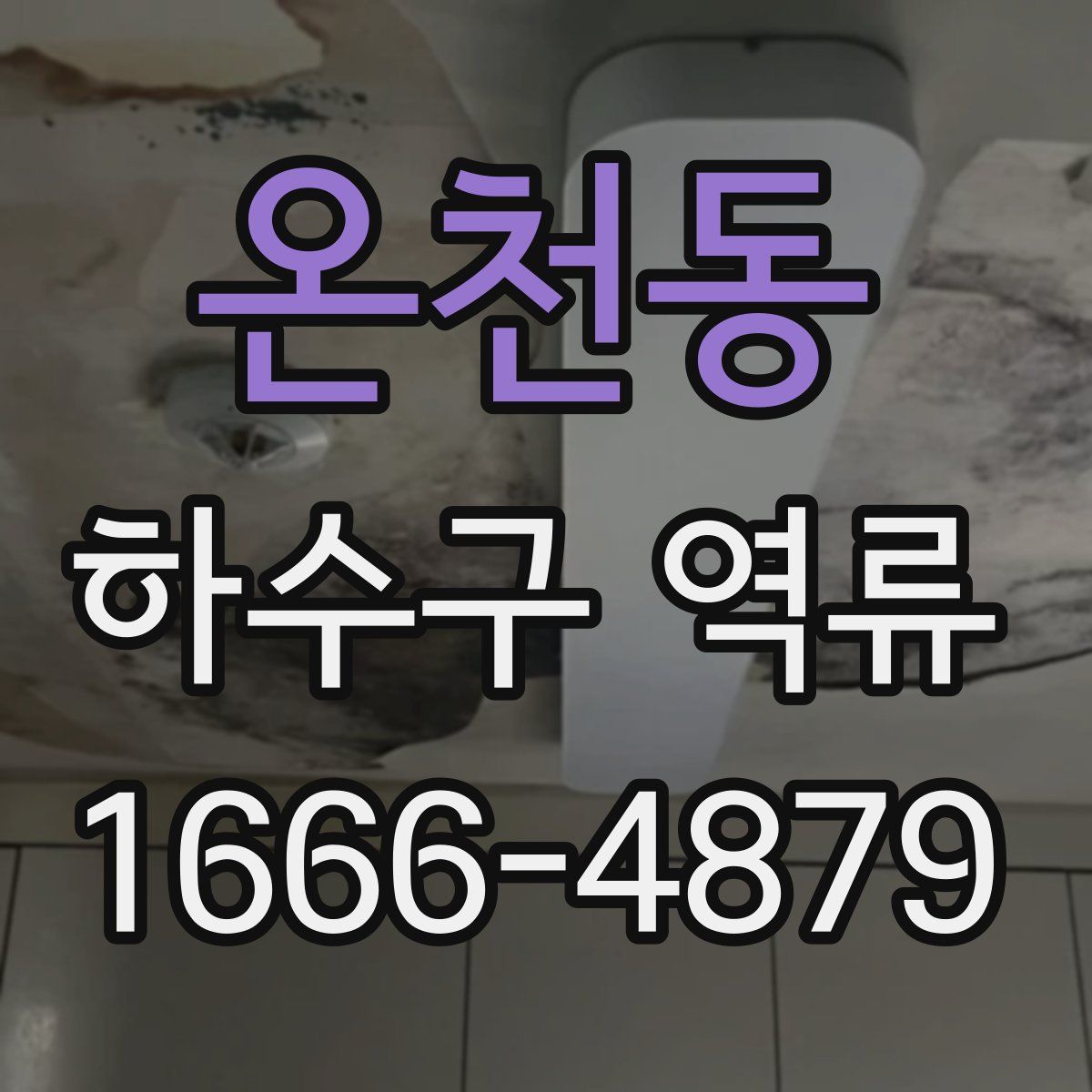 온천동 하수구 역류