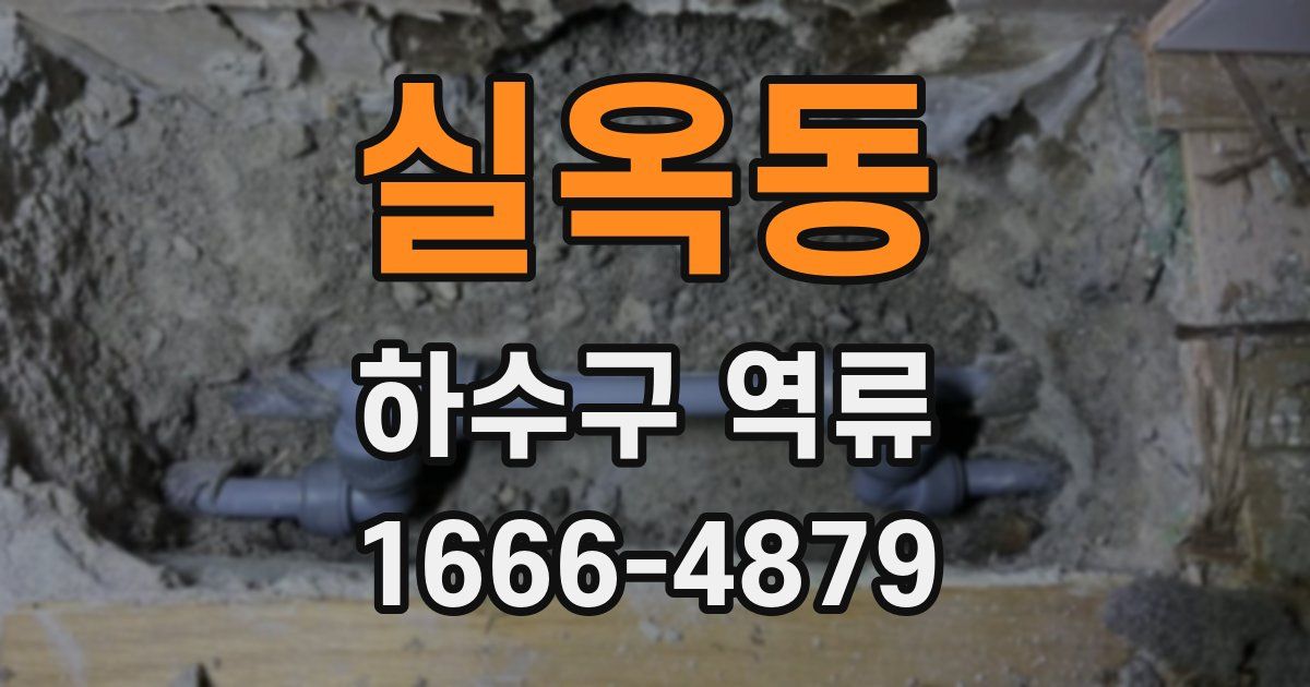 실옥동 하수구 역류