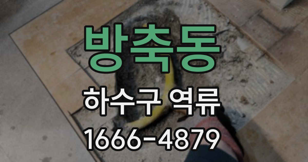 방축동 하수구 역류