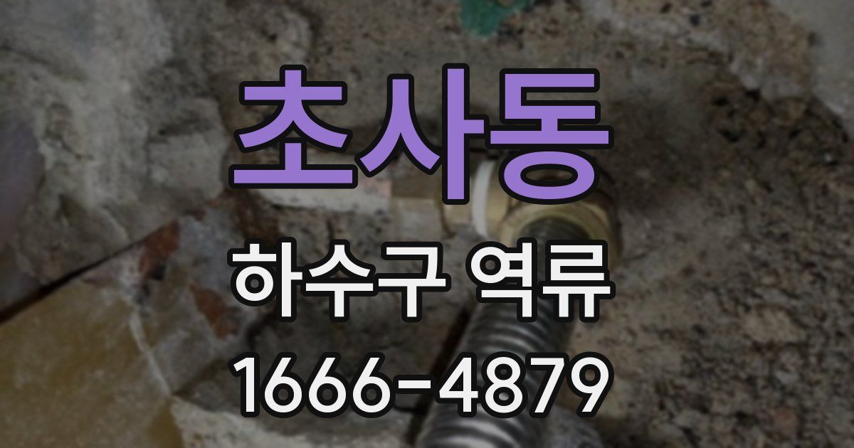 초사동 하수구 역류