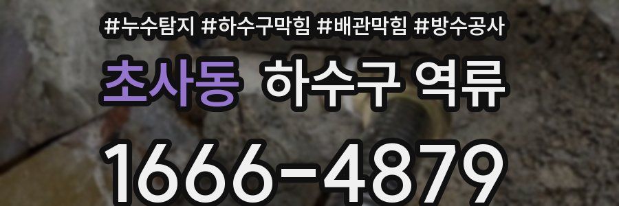 초사동 하수구 역류