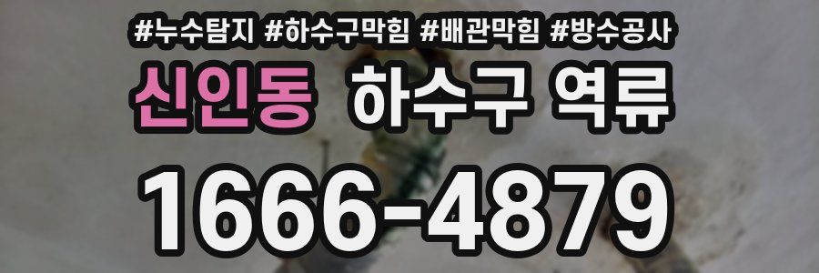 신인동 하수구 역류