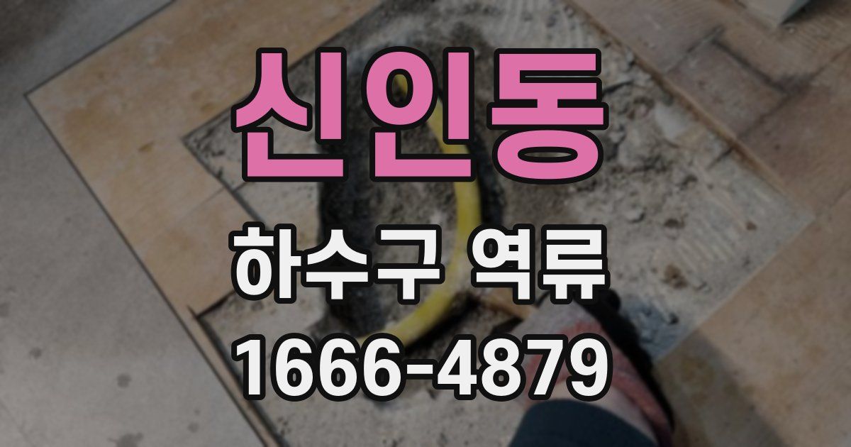 신인동 하수구 역류