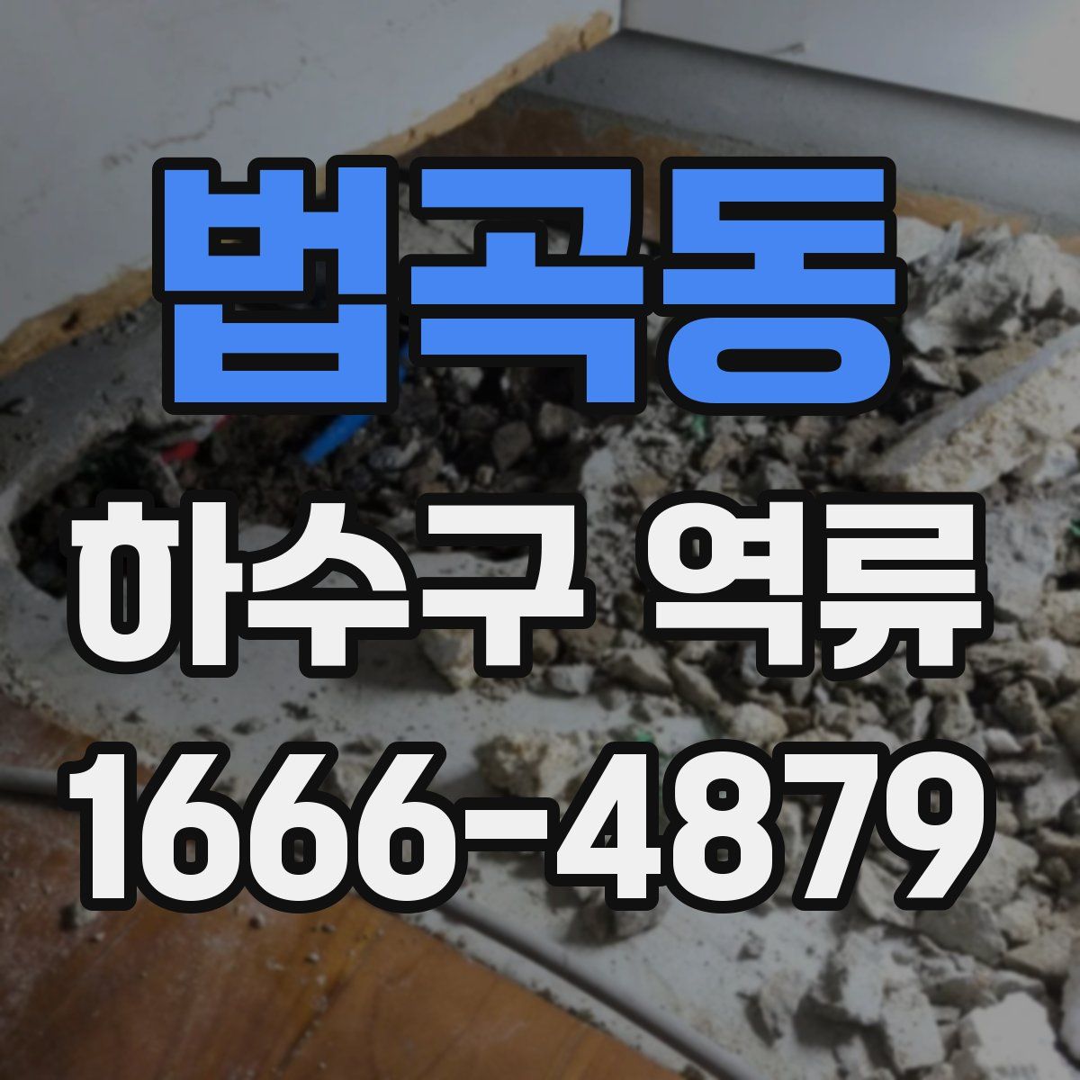 법곡동 하수구 역류