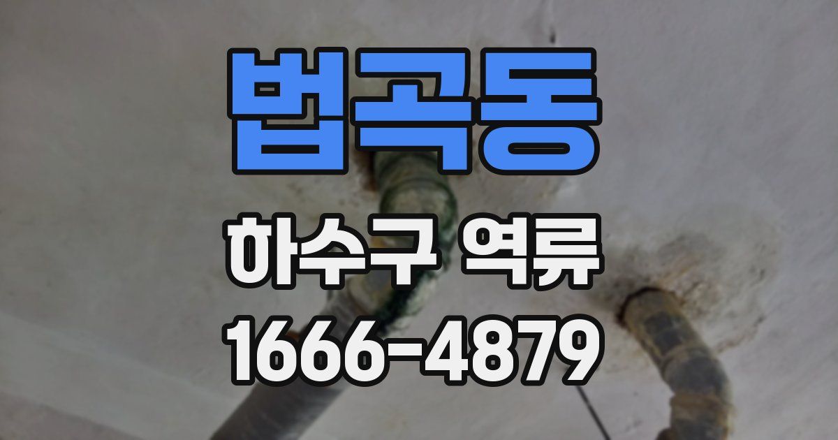 법곡동 하수구 역류