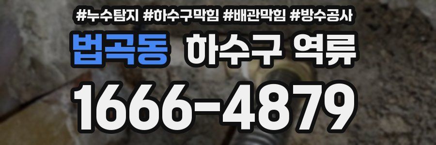 법곡동 하수구 역류