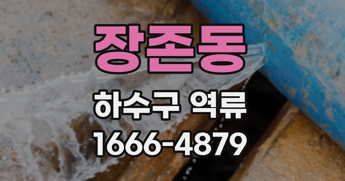장존동 하수구 역류