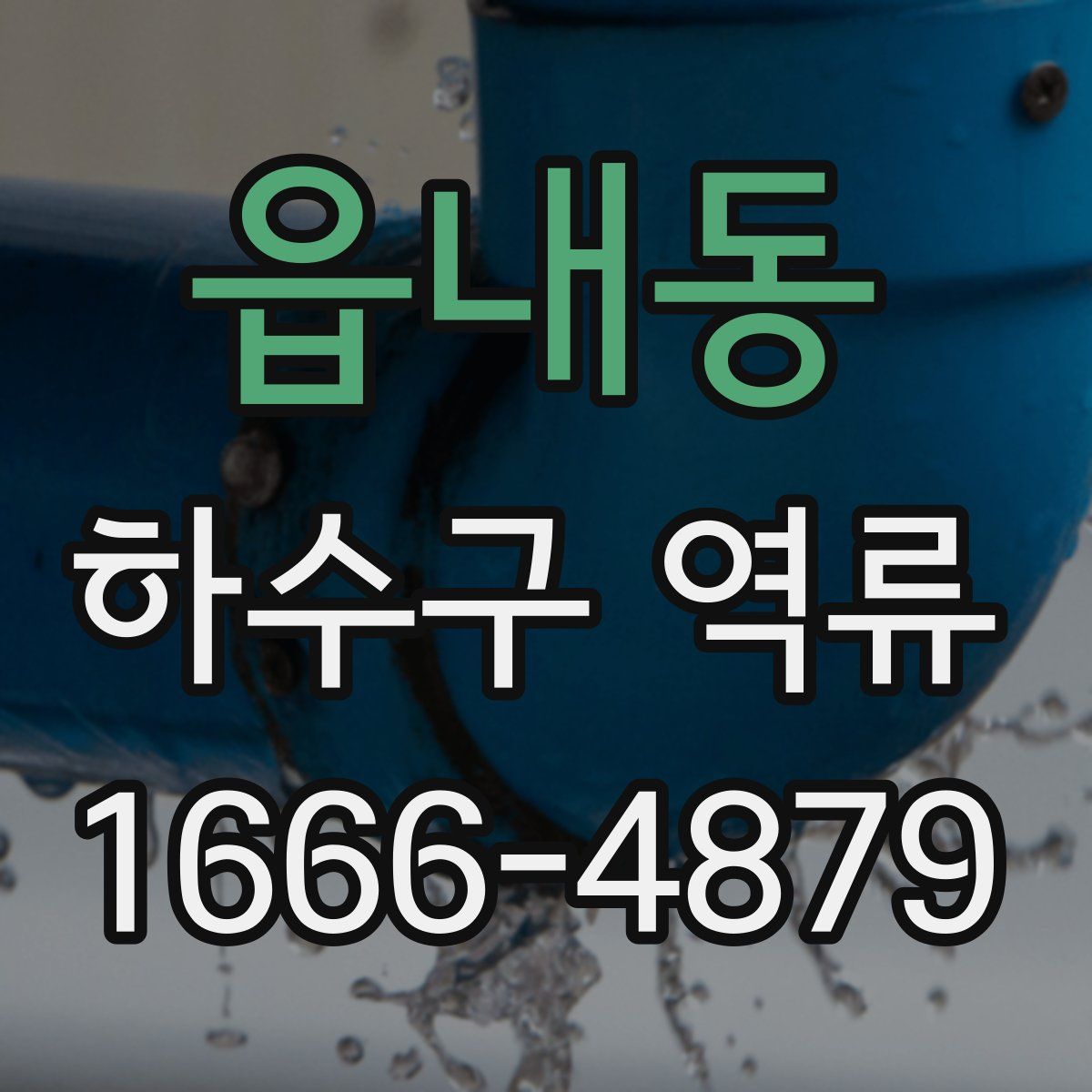 읍내동 하수구 역류