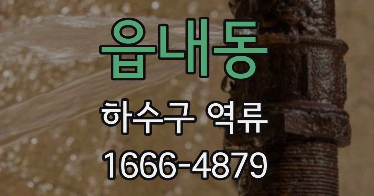 읍내동 하수구 역류