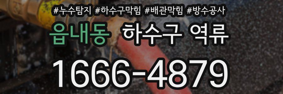 읍내동 하수구 역류