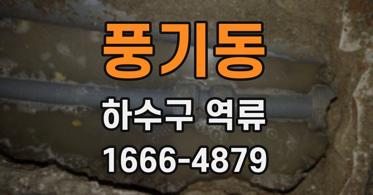 풍기동 하수구 역류