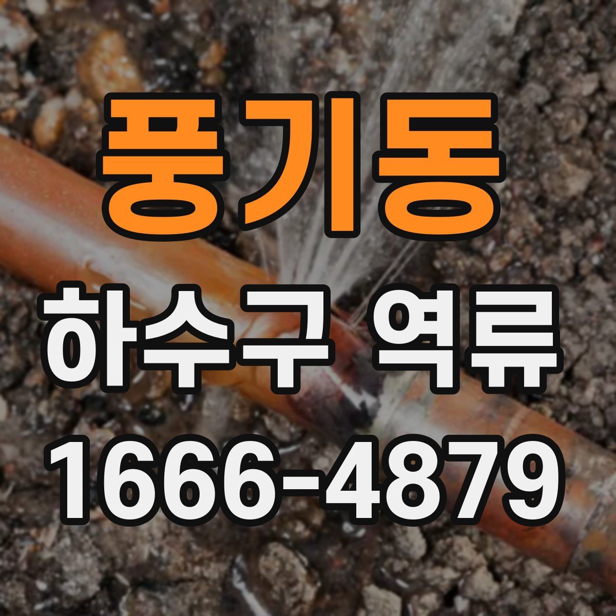 풍기동 하수구 역류
